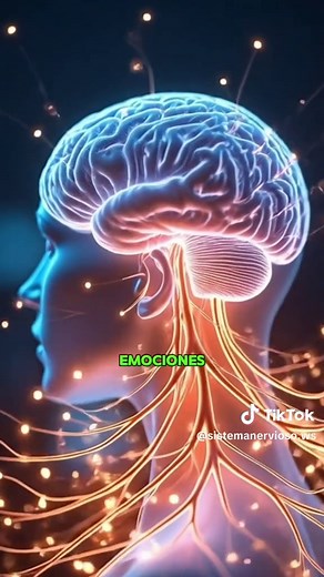 ¿Qué es la epilepsia?