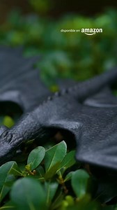 Hasta 40% y paga a 24 meses en Juegos y Juguetes. | Amazon México