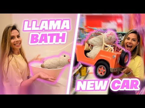 Giving My Llamas A BATH !! | Taking My Llama Shopping For A NEW CAR !!