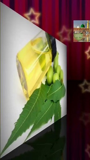 ما هو النيم او الشريش وما هي فوائد النيم وما هي شجره النيم وما خصائص نبته النيم ما فوائدها للانسان