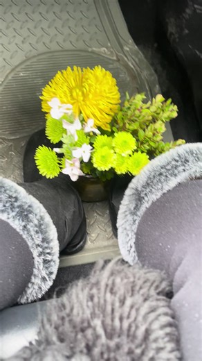 Nguyen Nhu (@nguyen.nhu602)’s videos with suara asli - bejo