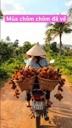 Bạn muốn biết chôm chôm dinh dưỡng ra sao không? Cùng mình tìm hiểu nha.