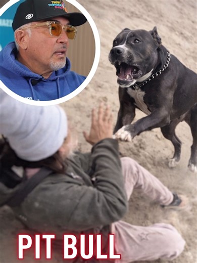 In this Cesar Reacts video, we see how when excitement, fear, and bad timing meet, any dog can become a risk. This isn’t a Pit Bull problem. Full stories and real breakthroughs on my YouTube channel @CesarMillanOfficial En este video de Cesar Reacts, vemos cómo, cuando la excitación, el miedo y el mal manejo del momento se combinan, cualquier perro puede convertirse en un riesgo. Este no es un problema de Pit Bull. Ve las historias completas y las verdaderas transformaciones en mi canal de YouTu