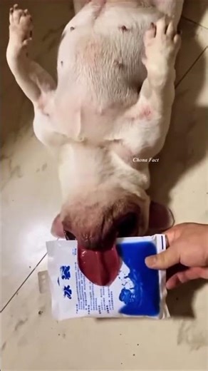 Travel To The Hottest Place On Earth