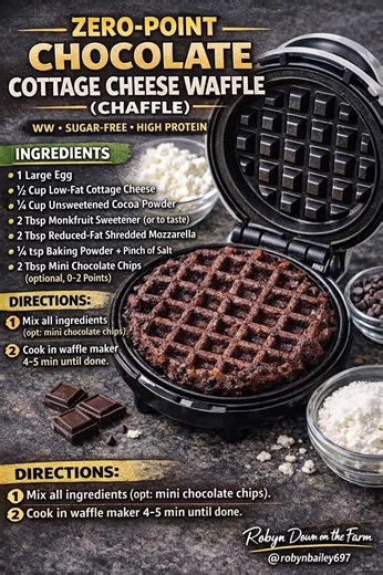 🍫 ZERO-POINT CHOCOLATE COTTAGE CHEESE WAFFLE (CHAFFLE) This one surprised me. Chocolatey, crispy on the outside, soft in the middle — and made with cottage cheese monkfruit. If you’re looking for a healthy dessert, a high-protein breakfast, or a WW-friendly treat that doesn’t taste “diet,” this waffle is it. ✔ Gluten-free ✔ Sugar-free ✔ High protein ✔ Waffle maker magic You can eat it plain, top it with berries, or drizzle with sugar-free syrup for a brownie-style treat. 📌 Zero points if eggs 