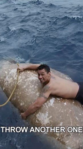 6.7M views · 54K reactions | Freddy Jumps OVERBOARD To Catch A Walrus. 60 seconds and hypothermia could set in! 略 #DeadliestCatch #fisherman #sealife | Deadliest Catch | Facebook