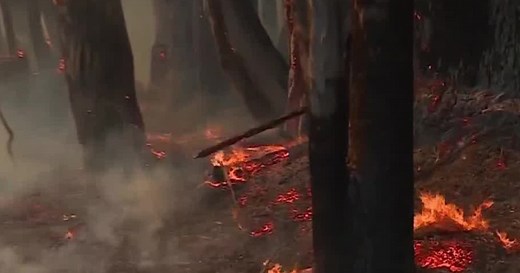 Wildfire near Aromas forces evacuations