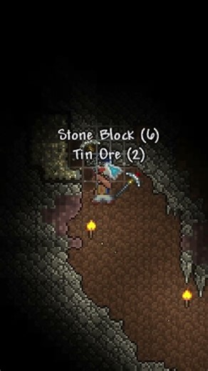 The Great Flub of 2026 #terraria #gaming #memes