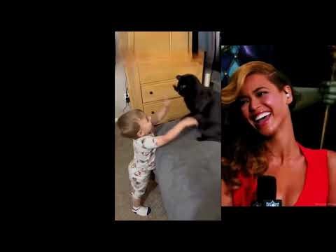 Try Not To Laugh. Best funny cats and dogs compilation #2