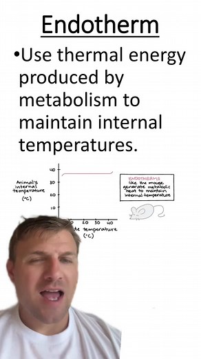 Endothermic vs ectothermic #endotherm #ectotherm #ecology #biology #greenscreen