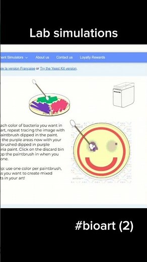 Episode 2 : Virtual labs 🧪#day2 #studywithme