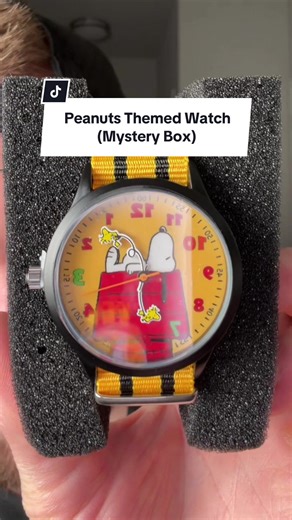 Peanuts Themed Mystery Box: Unboxing a Snoopy Surprise