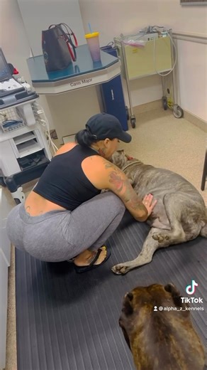 My Zelda and zeta | Alpha Z Hoggz