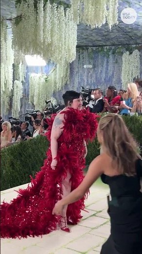 Lena Dunham walks Met Gala in red feathered