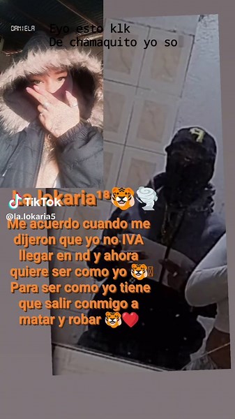 Videos de La lokaria🐯🌪️ (@la.lokaria5) con “sonido original - La lokaria🐯🌪️”