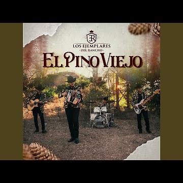 El Pino Viejo