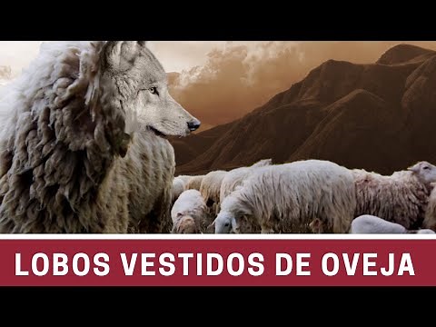 Wolves in Sheep's Clothing - Juan Manuel Vaz