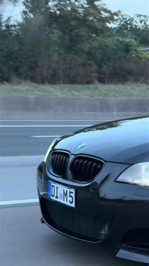 Perfektes Kennzeichen für das Auto 🤝 | Co Sign For Car