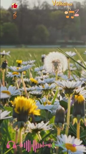 #Der Winter ist vergangen (Deutsches Volkslied) 독일민요: