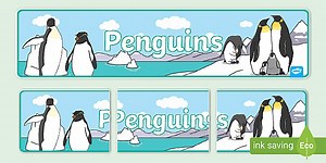 Penguin Display Banner