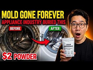 The Hidden Mold Inside Your Washing Machine — And How to Remove It Forever