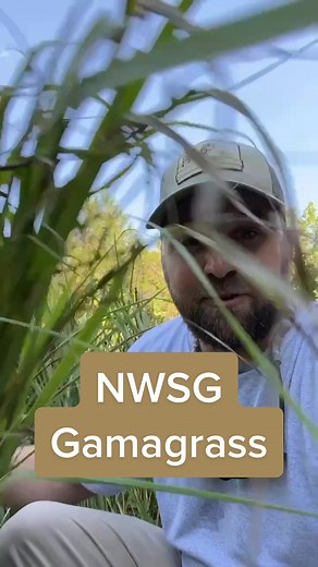 Kyle Lybarger on TikTok