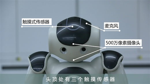 【NAO 机器人操作指南】第8讲 硬件说明