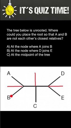 Rooted vs Unrooted phylogenetic trees