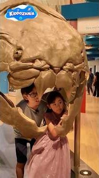 Inside the Royal Ontario Museum! Amazing Things We Found!