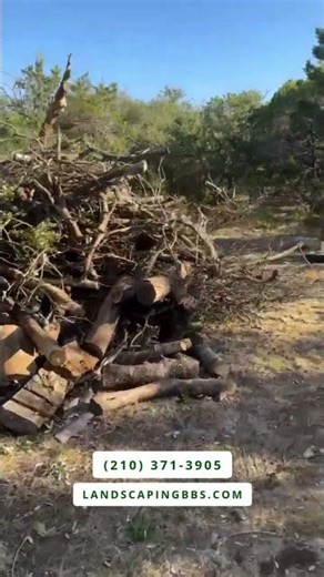 Tree removal and log transport for burning Boerne, San Antonio, Texas