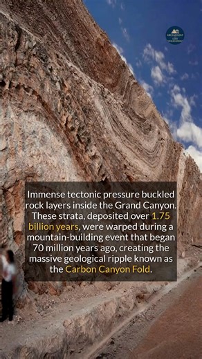 Immense tectonic pressure folded ancient rocks in the Grand Canyon like a giant geological ripple. #history #ancient #discovery #historyfacts | Archaeology and Lost Civilizations