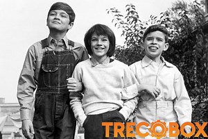 O Sol é Para Todos: Clássico Atemporal de Justiça e Empatia