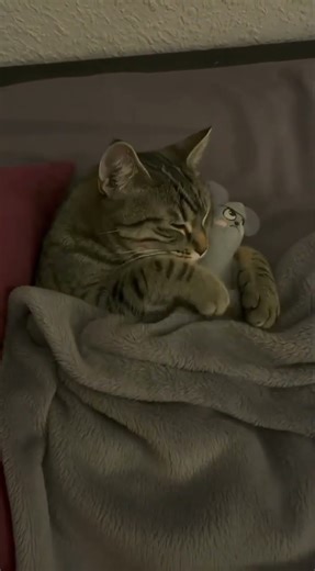 From mortal enemies to soulmates in one nap 😂