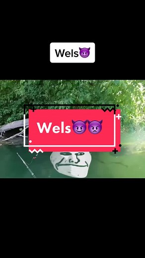 #perch_hunter #fypシ #fy #20k❤️ #viral #LiveForTheChallenge #zeck #🎣🔥 #fish #daiwa #TikTok #fishing #perchhunteraustria #followme