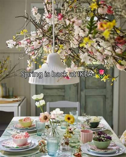 De winter loopt op z’n einde… Hallo lente! 🌸​ L'hiver est presque fini... Place au printemps ! 🌸 | IKEA