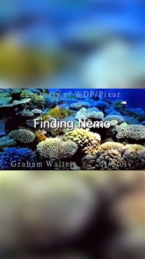 Pixar's first finding Nemo Animation