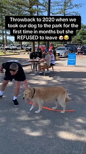 107K views · 2.7K reactions | Dog doesnt want to go home dog tiktok dogs funnyvideos dogsoftiktok | Love petcl | Facebook