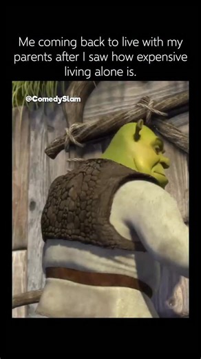 Memes on Instagram: "🎬 Fun fact: Shrek - Donkey The lovable, talkative sidekick voiced by Eddie Murphy was actually modeled after a real-life miniature donkey named Perry, who lived in a community pasture in Palo Alto, California. Animators from DreamWorks spent hours observing Perry’s specific gait, playful head tilts, and expressive eye rolls to ensure that Donkey’s movements felt both authentic and comedically exaggerated. Interestingly, while the character is a staple of the franchise, the