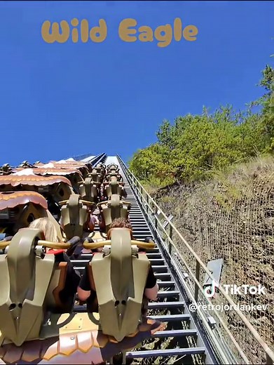 Wild Eagle at Dollywood: Pigeon Forge Rollercoaster Ride