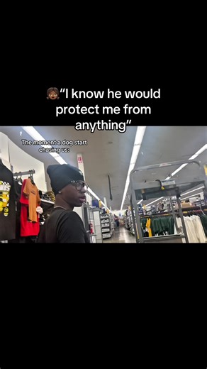 Hilarious Dog Chase Moment Caught on Camera