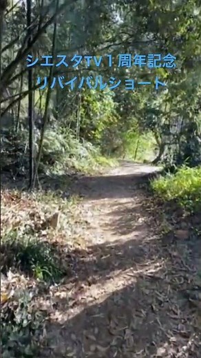 これを聴いてるとすぐ眠れるんです。#天理教 #おつとめ