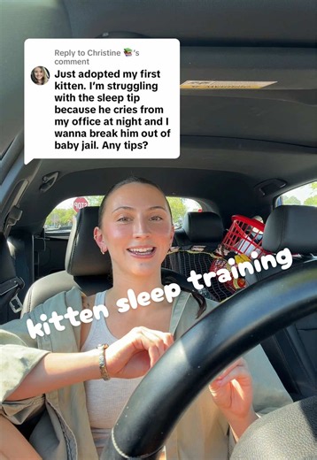 Kitten Sleep Training: How to Teach Kittens to Sleep Through the Night