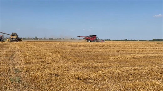 42K views · 649 reactions | New Holland CR e Case IH AF10 in campo nelle campagne del Basso Veronese  #NewsAgricoltura | NewsAgricoltura | Facebook