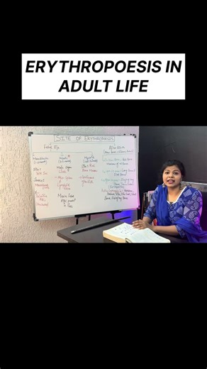 ERYTHROPOESIS in adult life