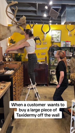 How many Black Moth baddies does it take to pull down a wall mount? Come buy one today & find out 🤪 Open 11-6! | Black Moth