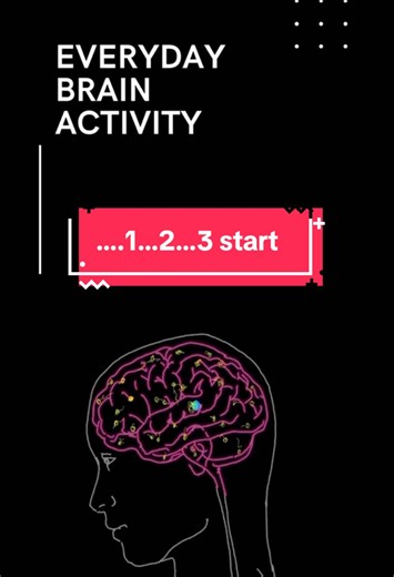 Neurons are the brain’s building blocks! 🧠 They transmit electrical signals, allowing you to think, feel, and move. How will you keep your neurons healthy today? #DailyBrainFit #Neuroscience #Neurons