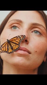 Lily Meola - Butterfly (Official Lyric Video)