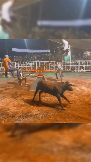 772K views · 3.7K reactions | Trò chơi mạo hiểm  #funny #botot #cow #giaitri #xuhuong | Moonlight Shop - Mua Sắm Online | Facebook