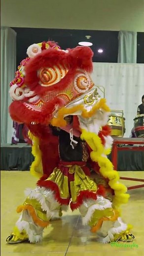 The Majestic Chinese Lion Dance: A Powerful Blend of Tradition, Martial Arts, and Rhythm