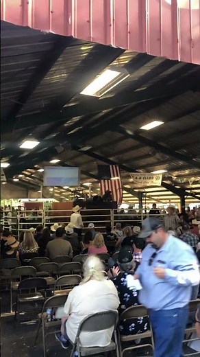 Junior livestock auction at 2025 Mother Lode Fair.